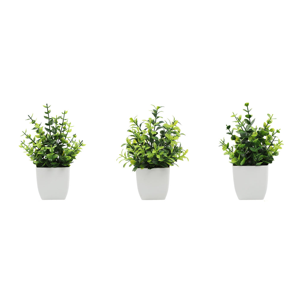 Three compact faux green plants in matte white pots on a white background