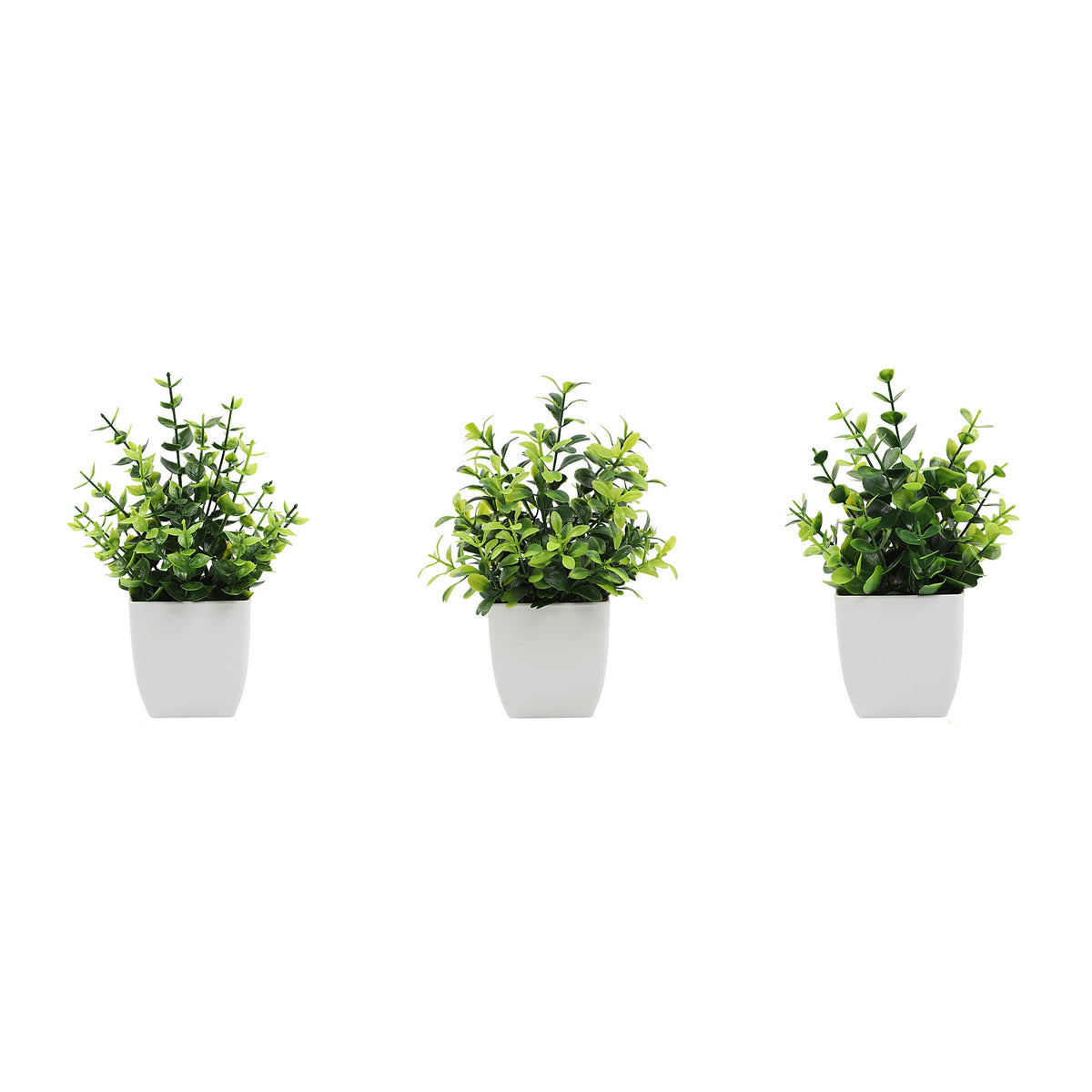 Three compact faux green plants in matte white pots on a white background