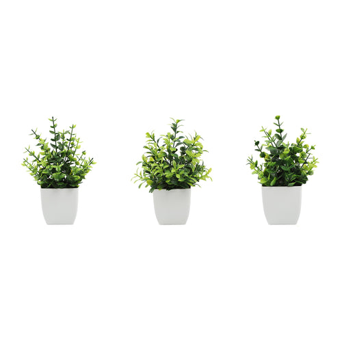 Three compact faux green plants in matte white pots on a white background