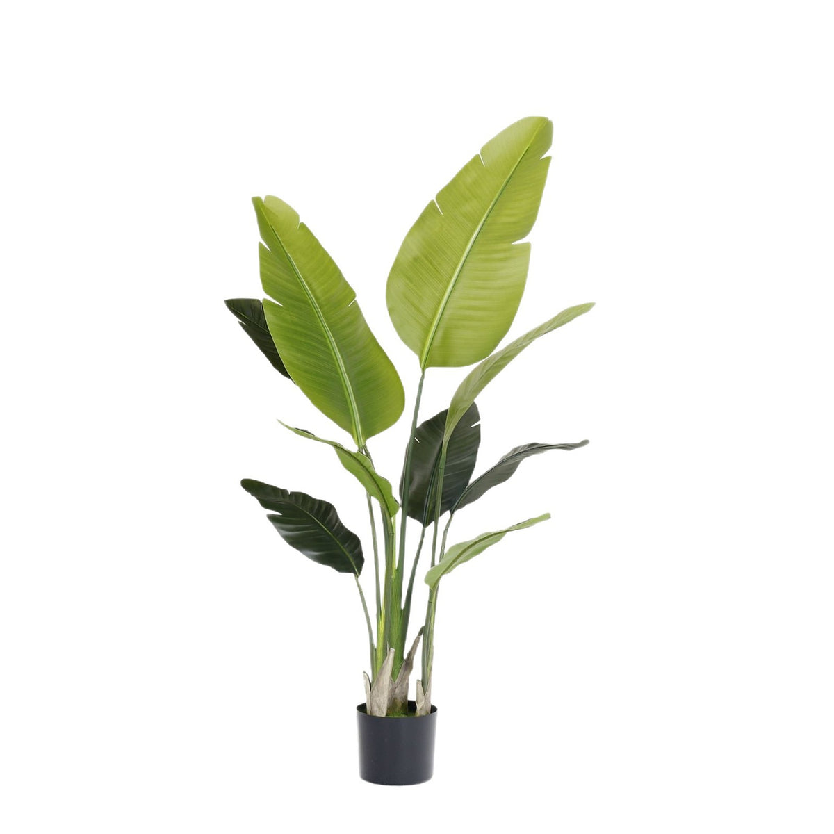 Single faux bird of paradise tree in a black base pot against a white background